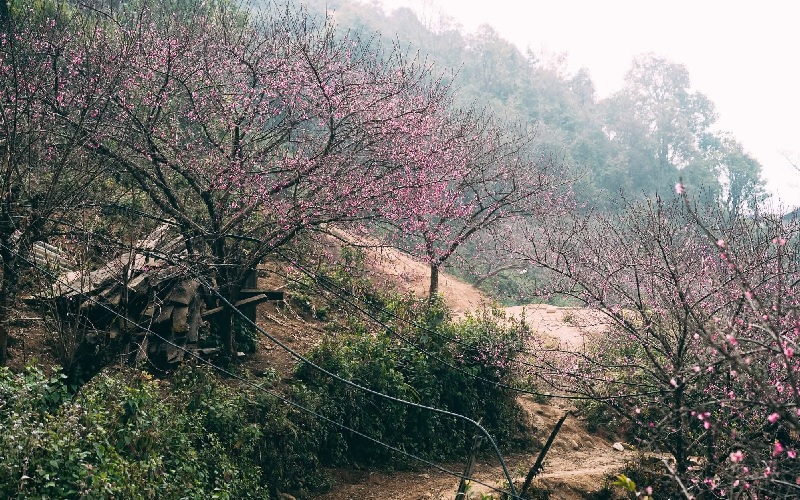 Review Pơ Mu Homestay Tà Xùa chi tiết sau vài lần trải nghiệm 9