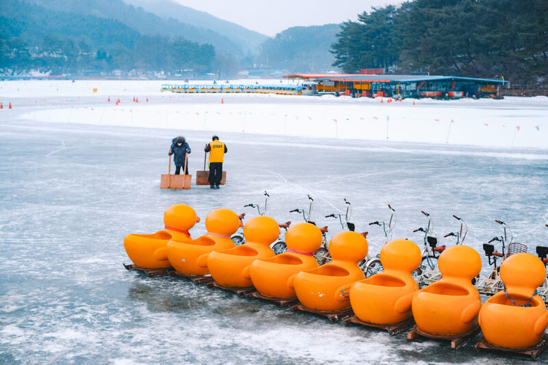 Tìm về thiên đường cảnh quan Pocheon cực gần Seoul 11