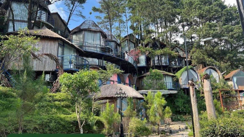Poko Ecolodge Tam Đảo với tổ hợp nhà trên cây đan xen villa độc đáo 4