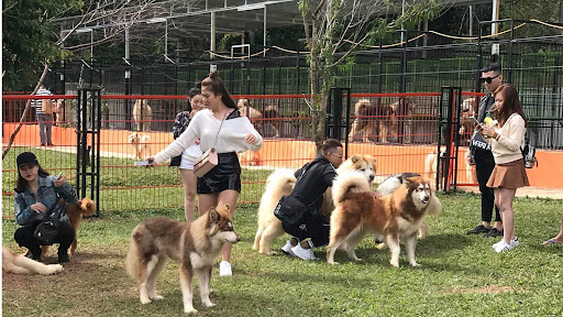 Nông trại cún Puppy Farm Đà Lạt - Nơi check-in cùng những chú Pet dễ thương 2
