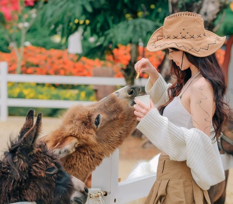 Puppy Farm Đà Lạt: Thiên thiên đường thú cưng và trải nghiệm nông trại 2