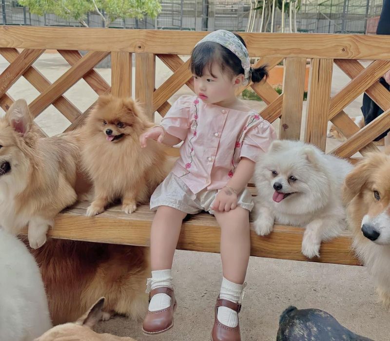 Puppy Farm Đà Lạt: Thiên thiên đường thú cưng và trải nghiệm nông trại 9