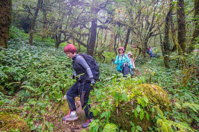 Cẩm nang trekking Putaleng nóc nhà Đông Dương thứ hai ở Lai Châu 7