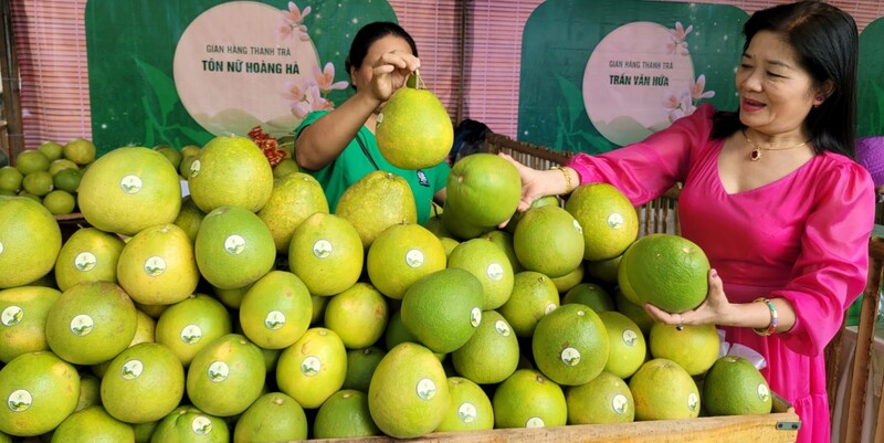 Quả thanh trà Huế: Đặc sản thanh mát mang hương vị sông Hương 13