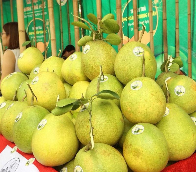 Quả thanh trà Huế: Đặc sản thanh mát mang hương vị sông Hương