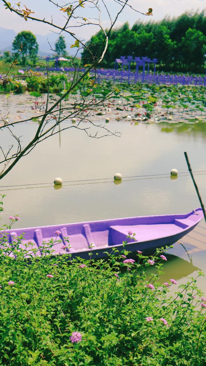 Phá đảo thiên đường vui chơi Quảng Ninh Gate từ A-Z 10