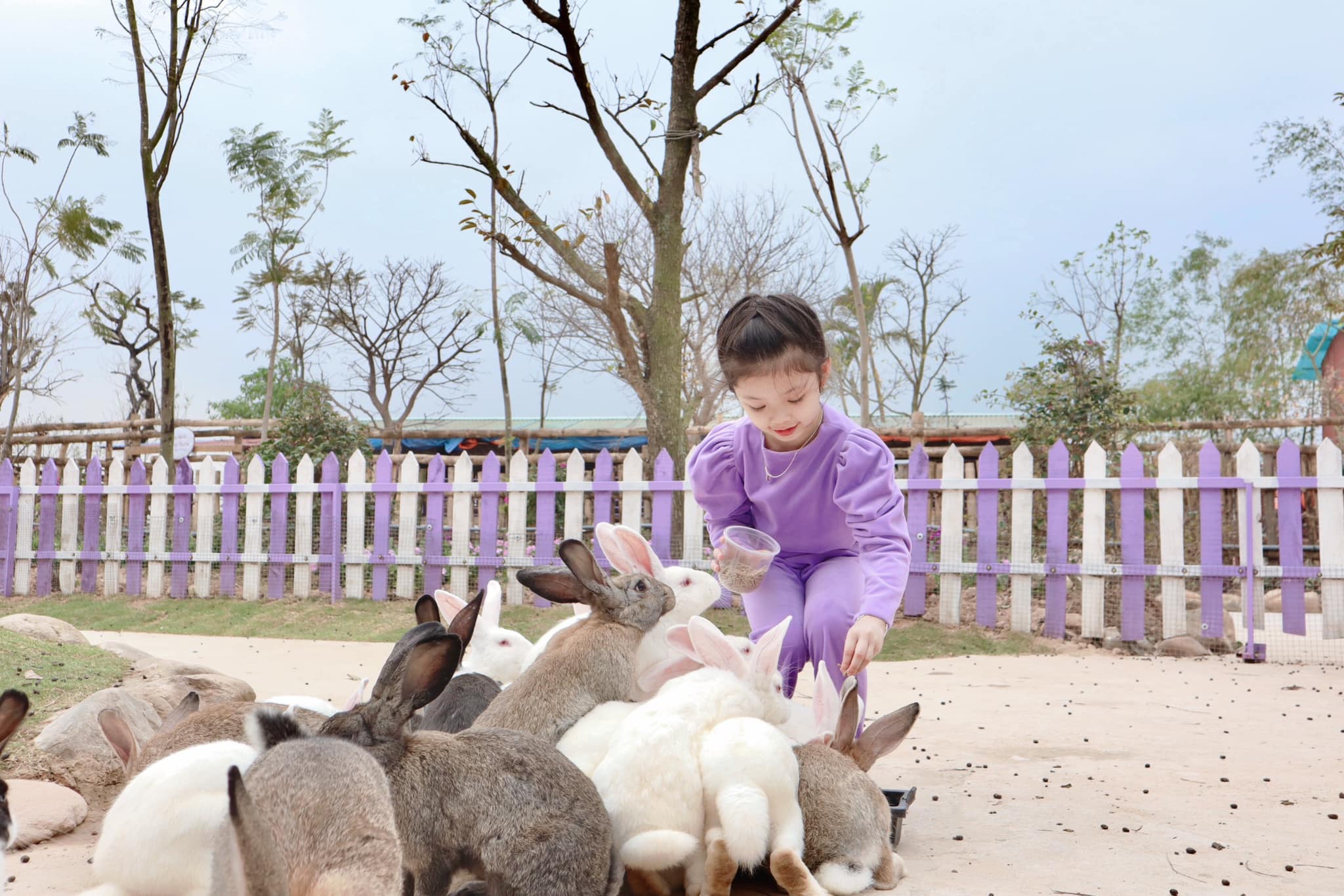 Phá đảo thiên đường vui chơi Quảng Ninh Gate từ A-Z 12