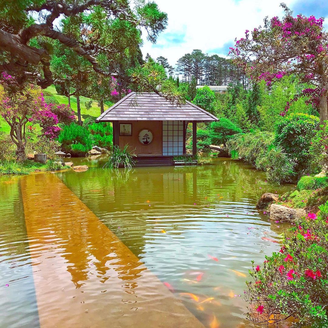 Que Garden Đà Lạt – Tiểu vương quốc Nhật Bản mộng mơ trên đèo Mimosa 2