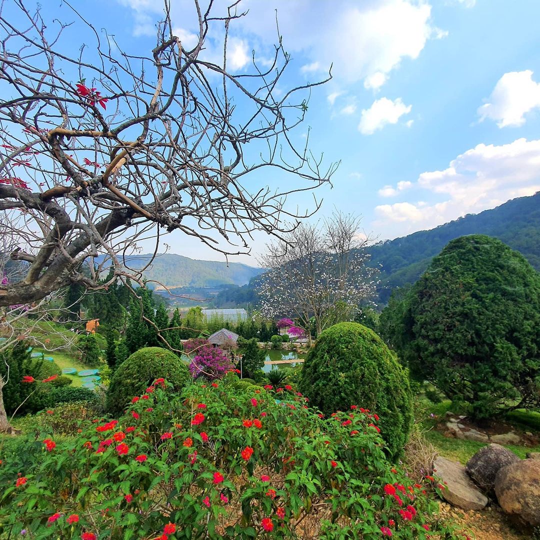 Que Garden Đà Lạt – Tiểu vương quốc Nhật Bản mộng mơ trên đèo Mimosa 9