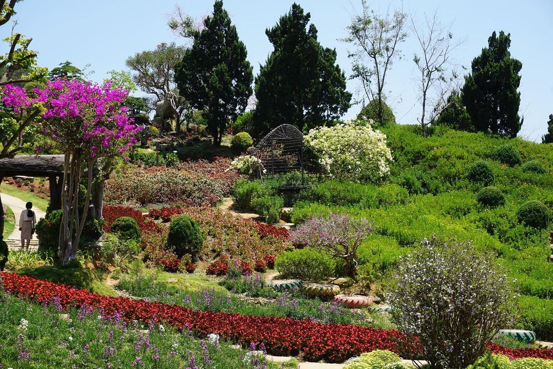 Que Garden Đà Lạt – Tiểu vương quốc Nhật Bản mộng mơ trên đèo Mimosa 10