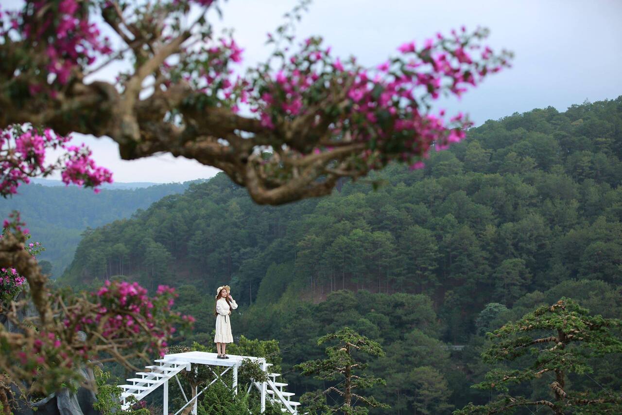 Que Garden Đà Lạt – Tiểu vương quốc Nhật Bản mộng mơ trên đèo Mimosa 14