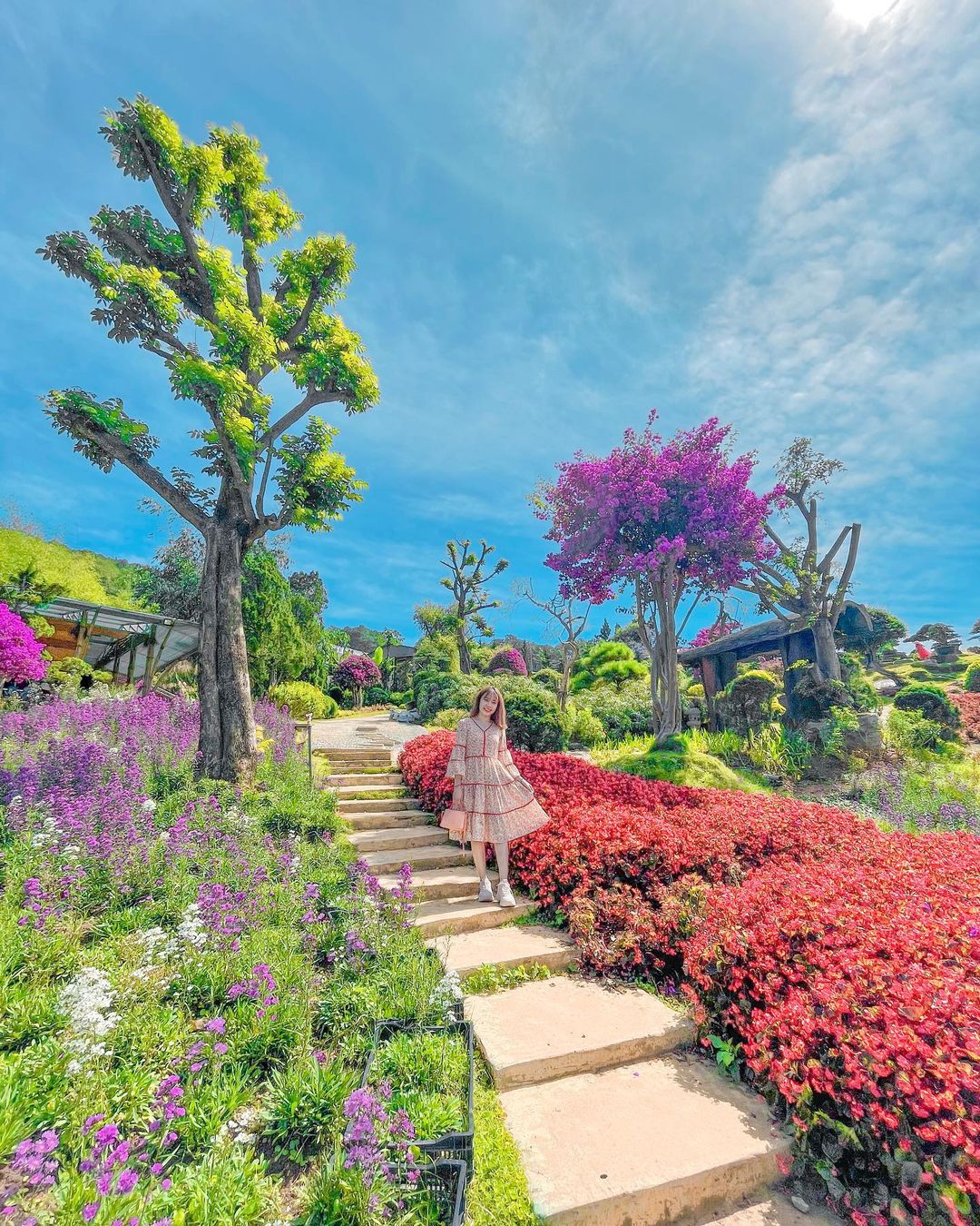 Que Garden Đà Lạt – Tiểu vương quốc Nhật Bản mộng mơ trên đèo Mimosa 15