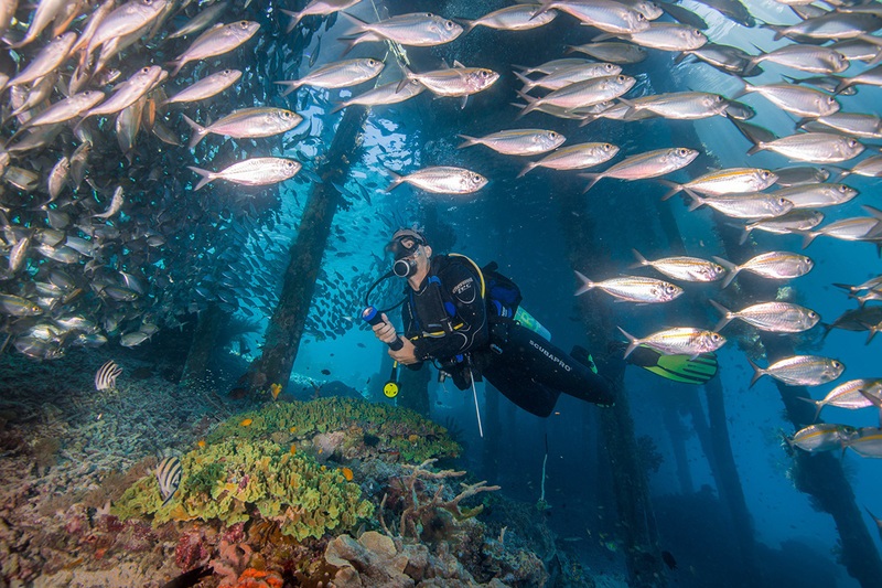 Quần đảo Raja Ampat với độ đa dạng sinh học bậc nhất Indonesia 5