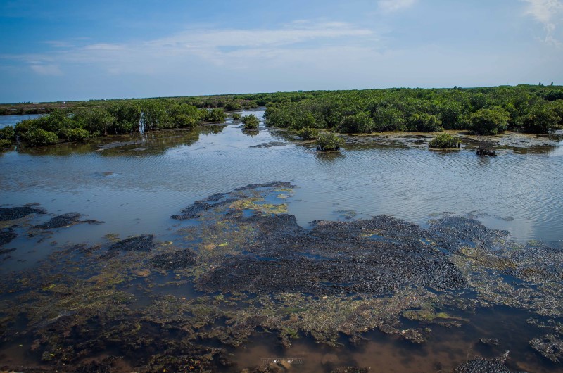 Khám phá những khu Ramsar tại Việt Nam, nơi thiên nhiên lộng lẫy 2