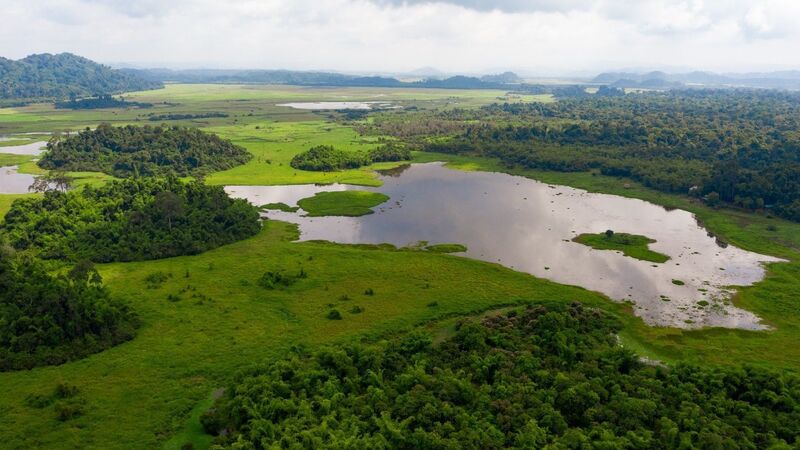 Khám phá những khu Ramsar tại Việt Nam, nơi thiên nhiên lộng lẫy 3