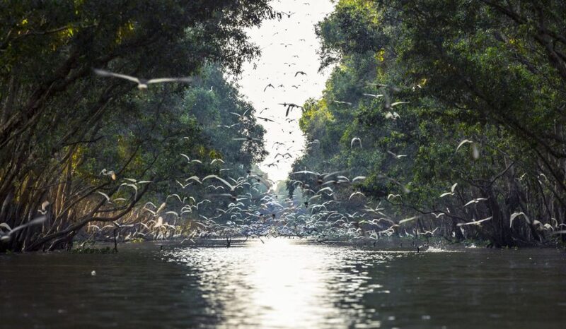 Khám phá những khu Ramsar tại Việt Nam, nơi thiên nhiên lộng lẫy 5