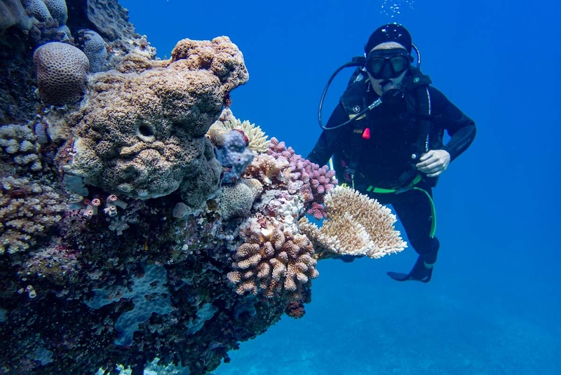 Rạn san hô Great Barrier, tạo tác ngoài khơi xa Queensland 10