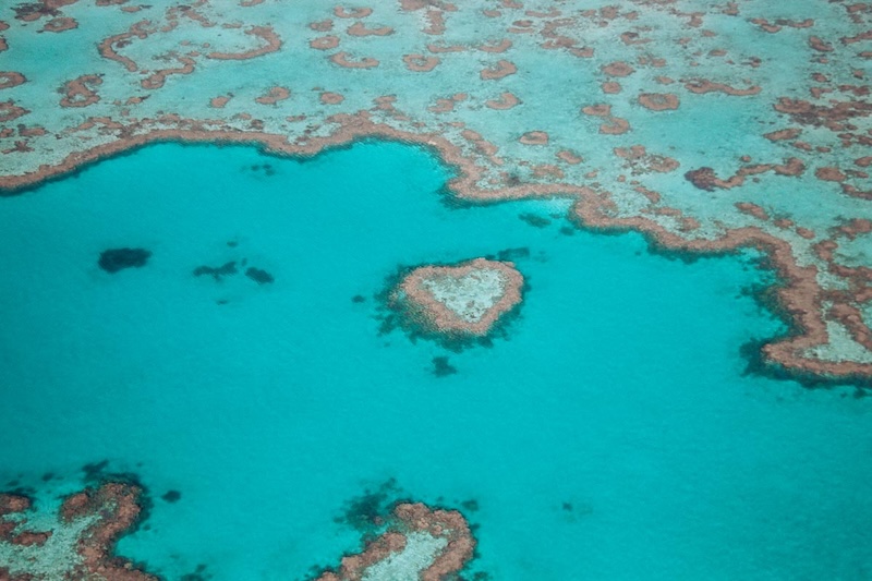 Rạn san hô Great Barrier, tạo tác ngoài khơi xa Queensland 7