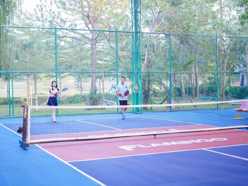 Gợi ý 13 resort có sân pickleball đẹp, tiện nghi tại Việt Nam 2