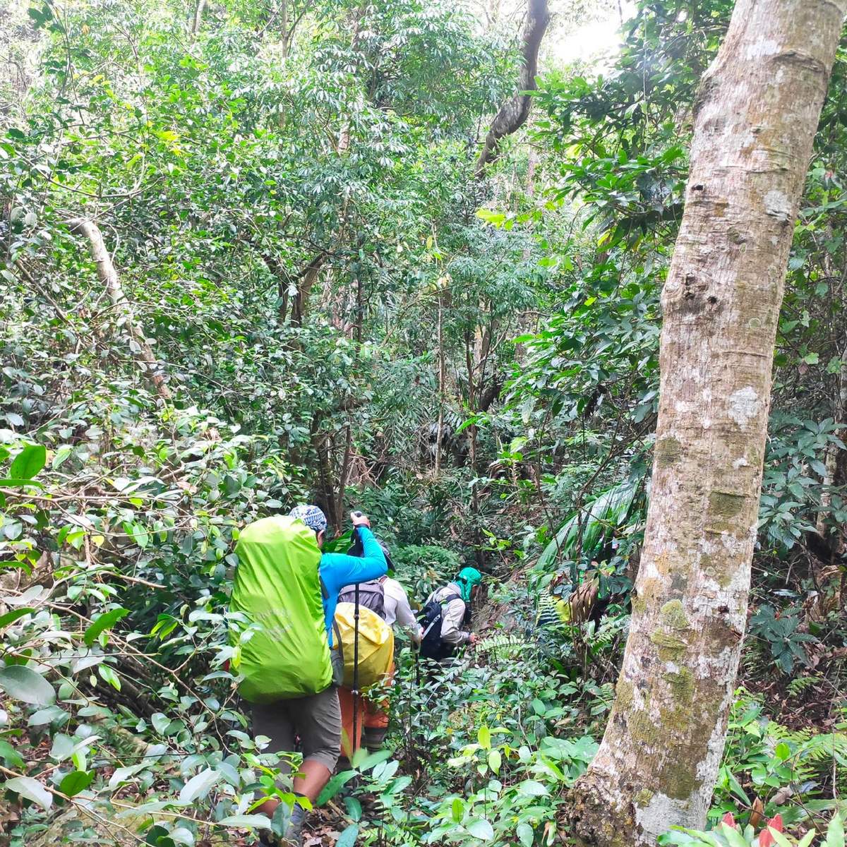 Review chuyến trekking Núi Chúa Ninh Thuận đã trải nghiệm một lần là chỉ có mê 3