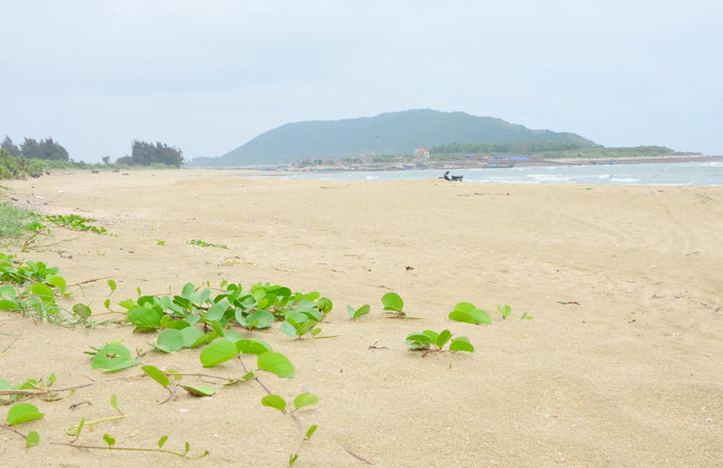 Khám phá Đảo Vĩnh Thực đầy nắng và gió ở Quảng Ninh 7