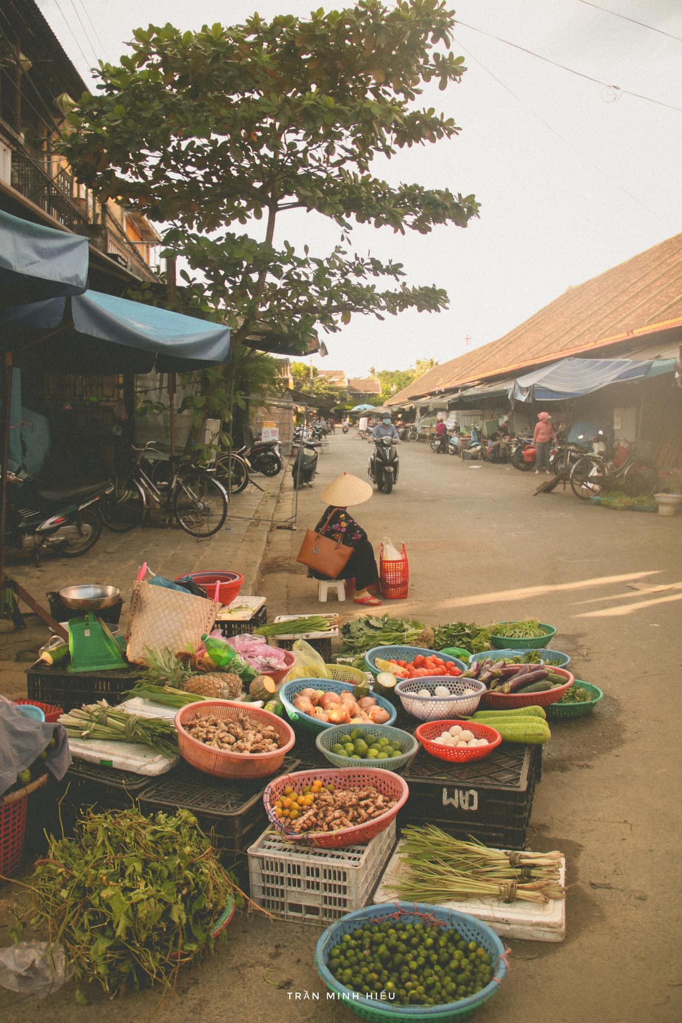 Review Hội An bình yên qua lăng kính của chàng trai Trần Minh Hiếu 7