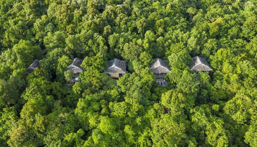 Review khu resort trong rừng ở Phú Quốc sở hữu không gian xanh ấn tượng 2