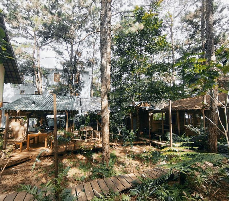 Review La Maison Homestay Măng Đen lý tưởng tại Kon Tum