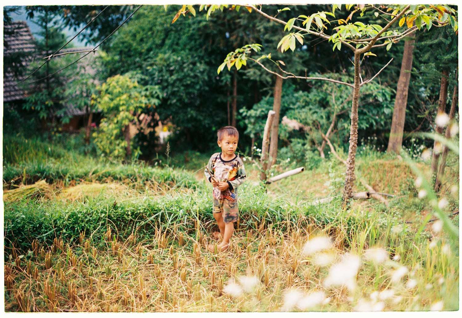 Review một Hà Giang thật bình yên và thơ mộng 3