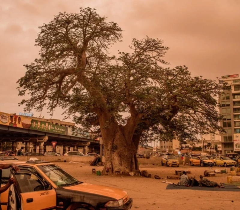 Review Senegal: Lần đầu chạm ngõ Tây Phi rực rỡ và những cú 'sốc' văn hóa ngọt ngào 7