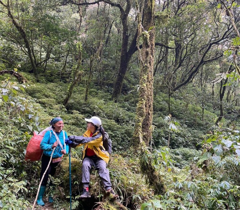 Review trekking Fansipan đỉnh núi cao nhất Đông Dương