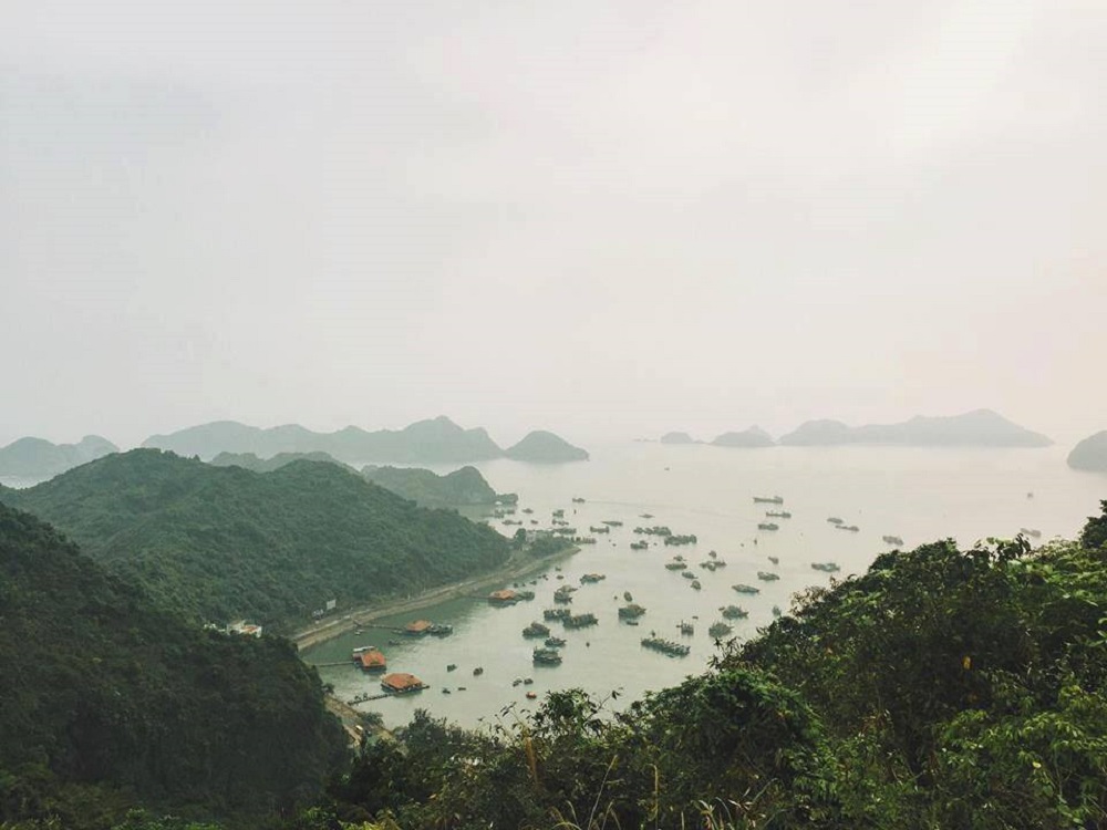 Review vịnh Lan Hạ - Vẻ đẹp hoang sơ hấp dẫn các tín đồ du lịch 2