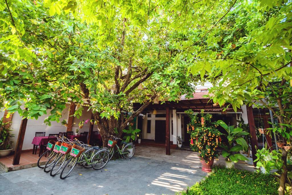 Riverside Plum Garden Homestay - Hòa mình vào bầu không khí Hội An thơ mộng 10