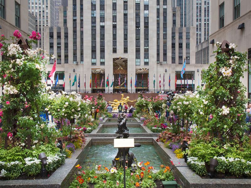 Lạc lối ở Rockefeller Center - Ốc đảo văn hóa giữa lòng New York 8