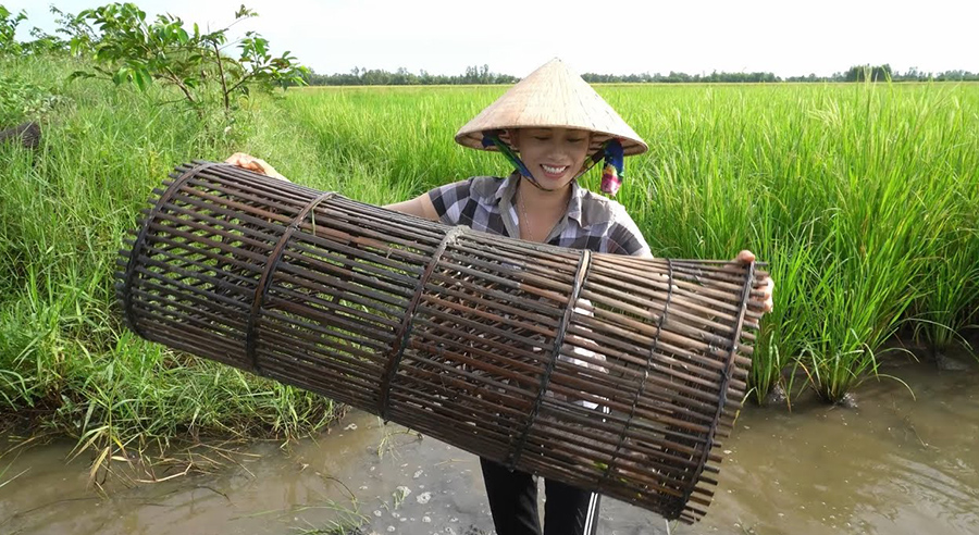 Rộn ràng Nghề đặt lờ ở Cà Mau mỗi mùa nước nổi kéo về 4