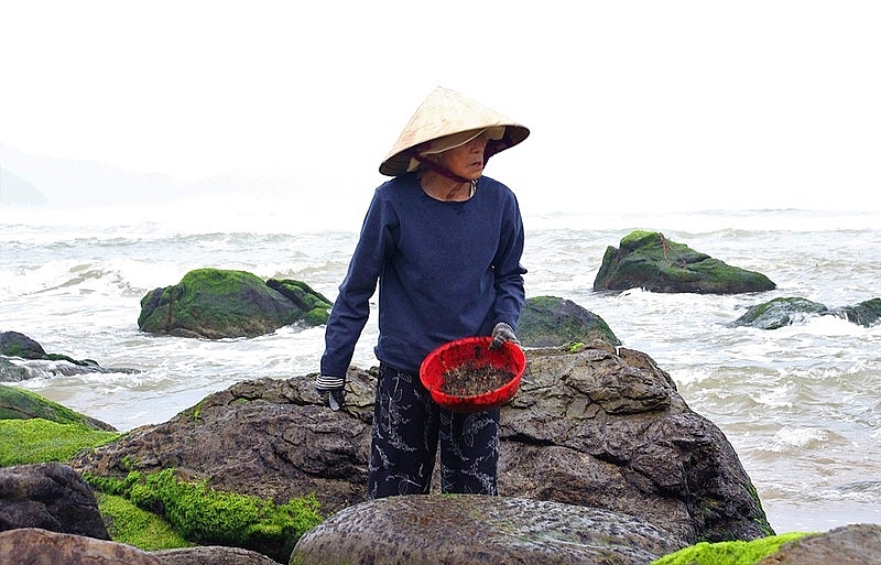 Rong biển sấy khô - Siêu thực phẩm vừa đẹp da lại tốt cho sức khỏe 2