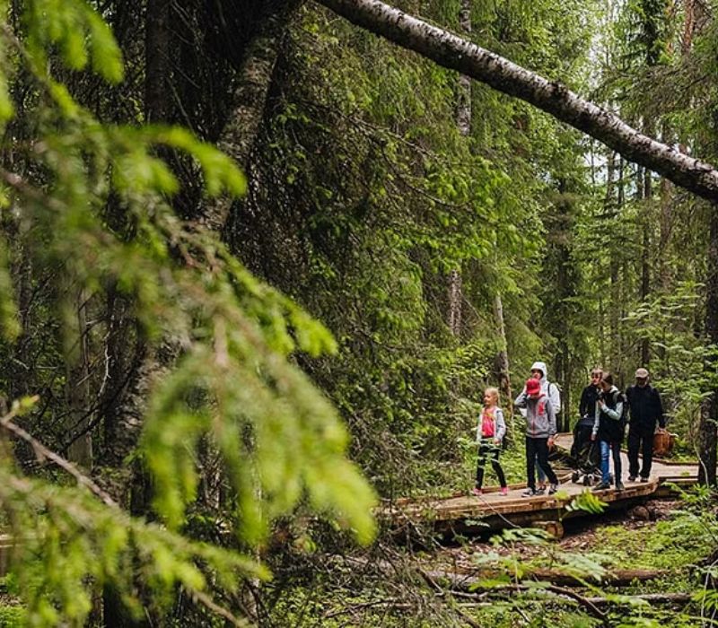 Rovaniemi, xứ sở của ông già Noel và những điều kỳ thú 9