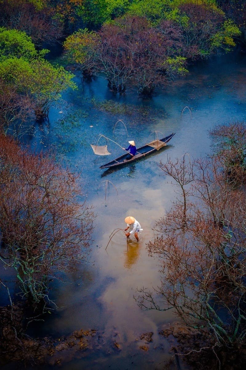 Rừng Rú Chá vào thu, tấm áo phong cảnh sáng bừng đầm phá Tam Giang 6