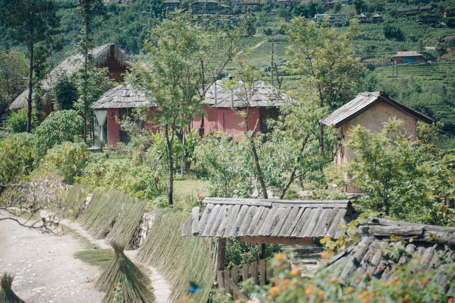 Rùa House Hill top là một căn nhà nhỏ xinh xắn tránh xa nơi phố thị 3