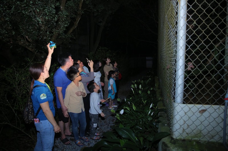 Rừng Cúc Phương mùa đom đóm, vũ điệu ánh sáng nơi rừng già 8