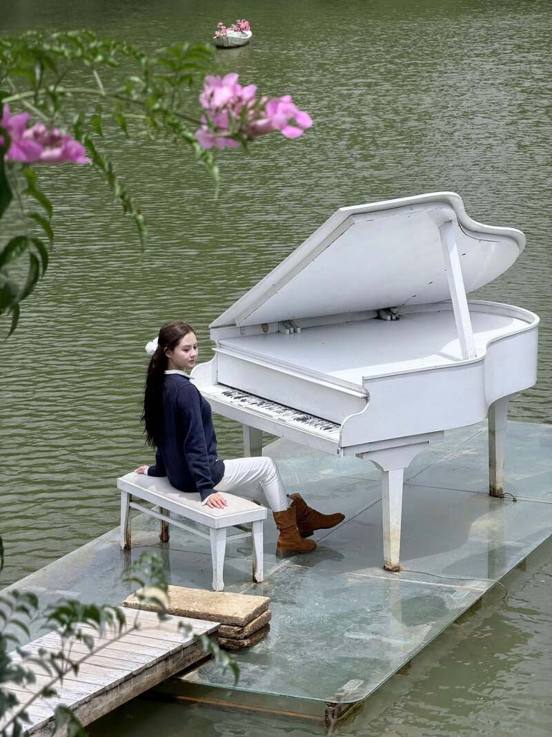 Rừng Giao Hưởng Đà Lạt độc đáo như bản hòa ca của tự nhiên 6