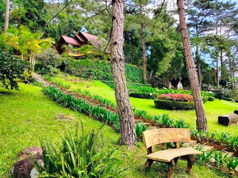 Rừng Giao Hưởng Đà Lạt độc đáo như bản hòa ca của tự nhiên 11