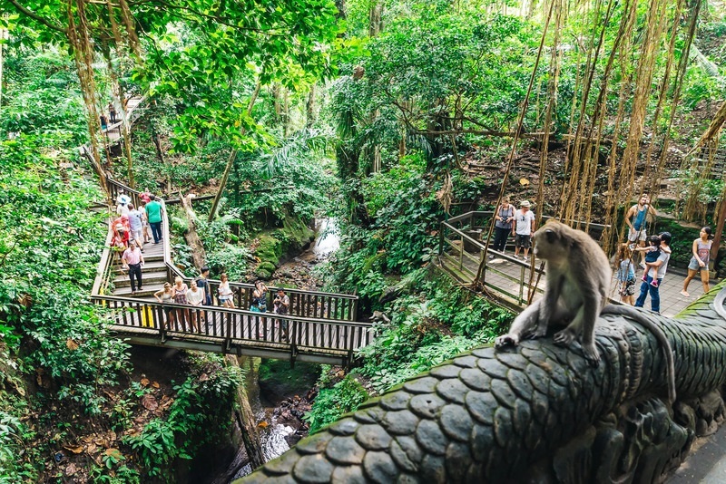 Rừng Khỉ Ubud Bali, nơi giao thoa giữa thiên nhiên và tâm linh 5