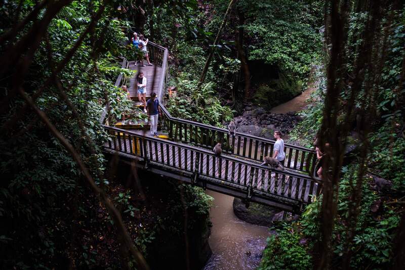 Rừng Khỉ Ubud Bali, nơi giao thoa giữa thiên nhiên và tâm linh 6