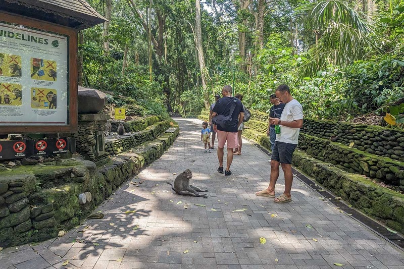 Rừng Khỉ Ubud Bali, nơi giao thoa giữa thiên nhiên và tâm linh 8