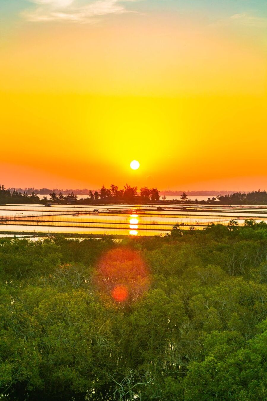 Rừng Rú Chá vào thu, không gian nguyên sơ vùng ngoại thành xứ Huế 2