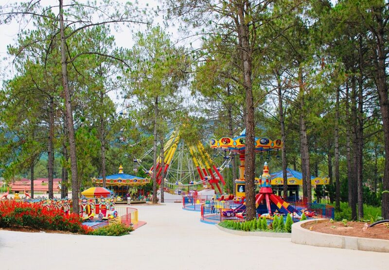 Kinh nghiệm khám phá rừng thông Bản Áng tự túc chi tiết nhất 8