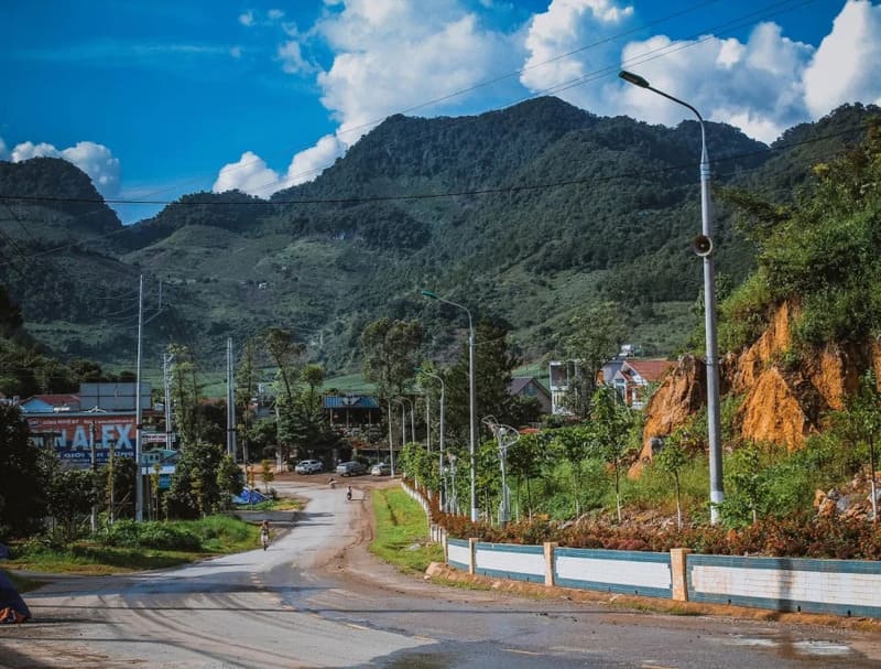 Kinh nghiệm khám phá rừng thông Bản Áng tự túc chi tiết nhất 10