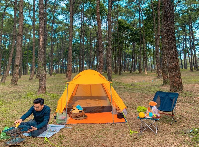 Khám phá rừng thông Bồ Bồ thơ mộng và thanh bình 7
