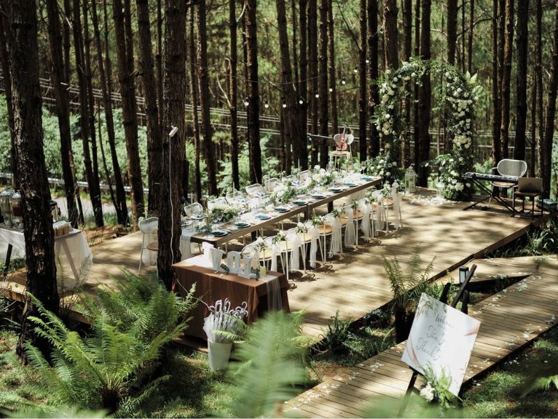 Rừng Thông Mơ Farm & Bistro: Điểm đến lý tưởng cho kỳ nghỉ cuối tuần 6